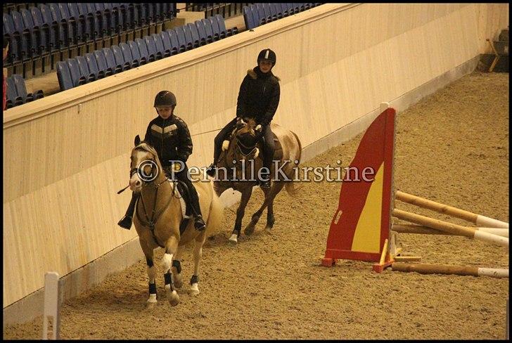 RAMASJANG LIVE PÅ VILHELMSBORG .. billede 1