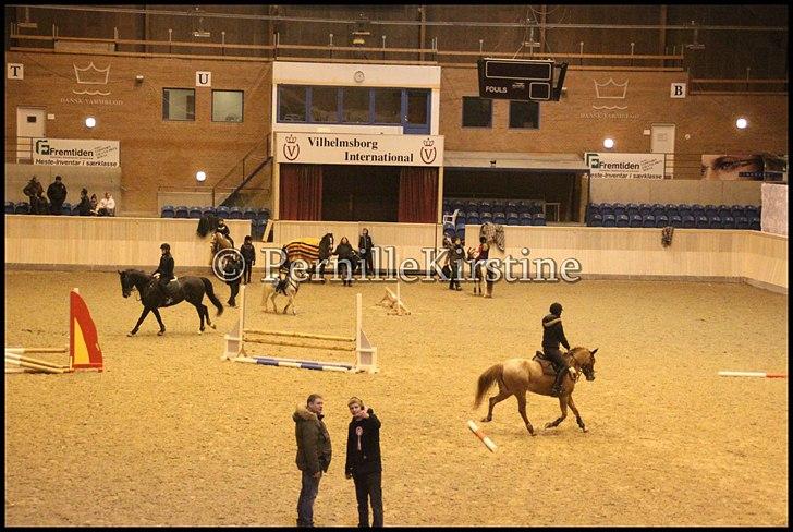 RAMASJANG LIVE PÅ VILHELMSBORG .. billede 2