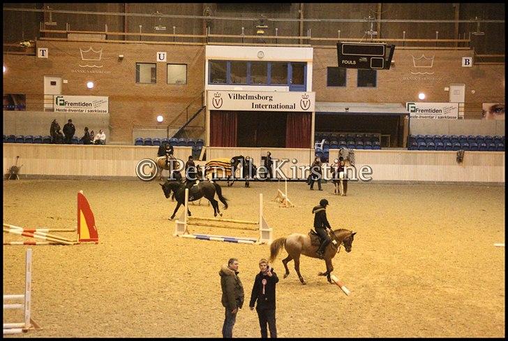 RAMASJANG LIVE PÅ VILHELMSBORG .. billede 3