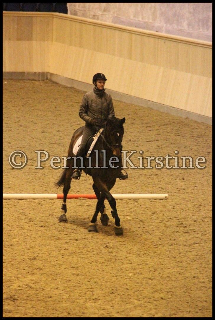 RAMASJANG LIVE PÅ VILHELMSBORG .. billede 6