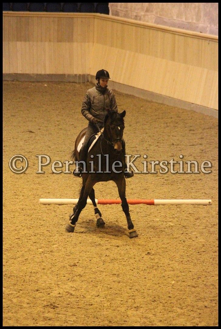 RAMASJANG LIVE PÅ VILHELMSBORG .. billede 7