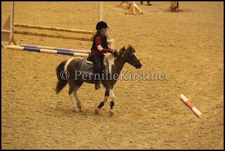RAMASJANG LIVE PÅ VILHELMSBORG .. billede 8