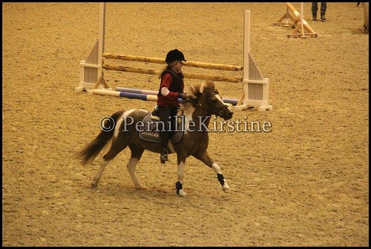 RAMASJANG LIVE PÅ VILHELMSBORG .. billede 9