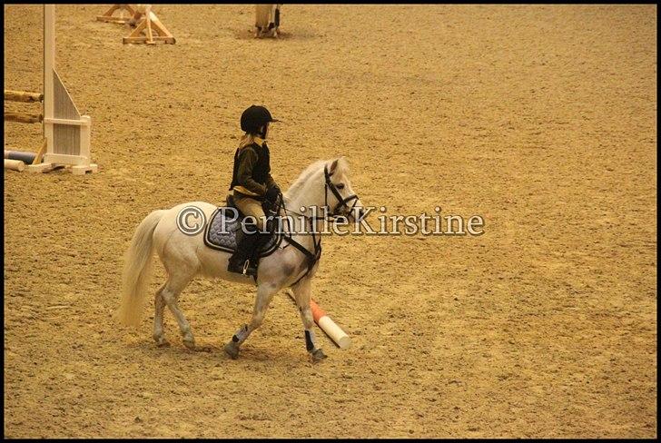 RAMASJANG LIVE PÅ VILHELMSBORG .. billede 10