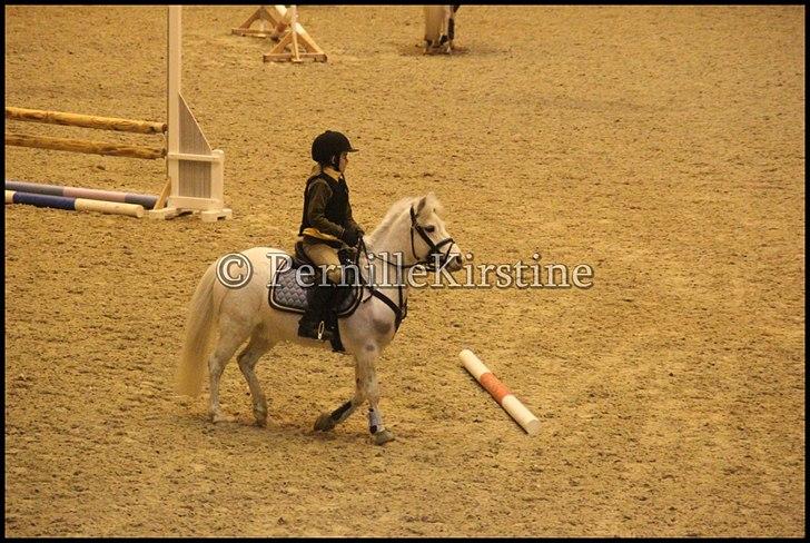 RAMASJANG LIVE PÅ VILHELMSBORG .. billede 11