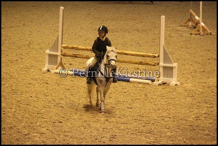 RAMASJANG LIVE PÅ VILHELMSBORG .. billede 12