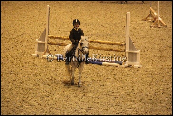 RAMASJANG LIVE PÅ VILHELMSBORG .. billede 13