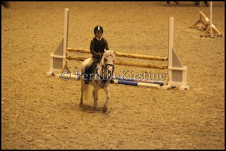 RAMASJANG LIVE PÅ VILHELMSBORG .. billede 14