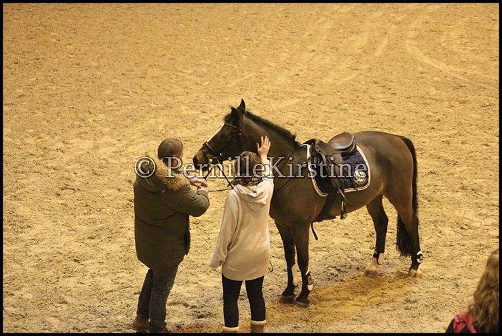 RAMASJANG LIVE PÅ VILHELMSBORG .. billede 40