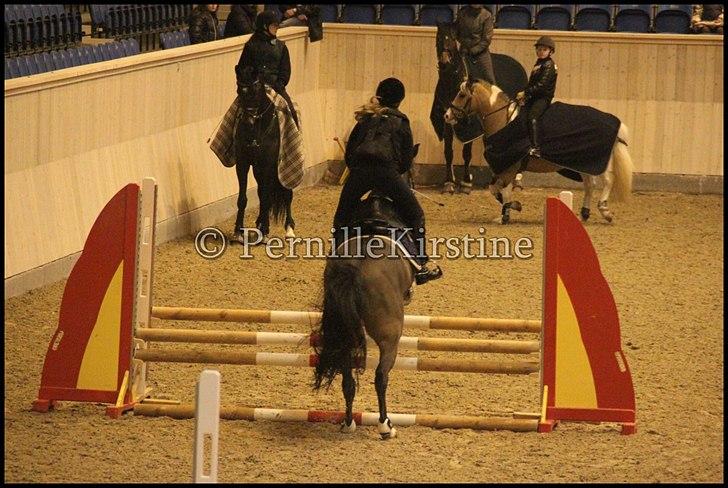 RAMASJANG LIVE PÅ VILHELMSBORG .. billede 42