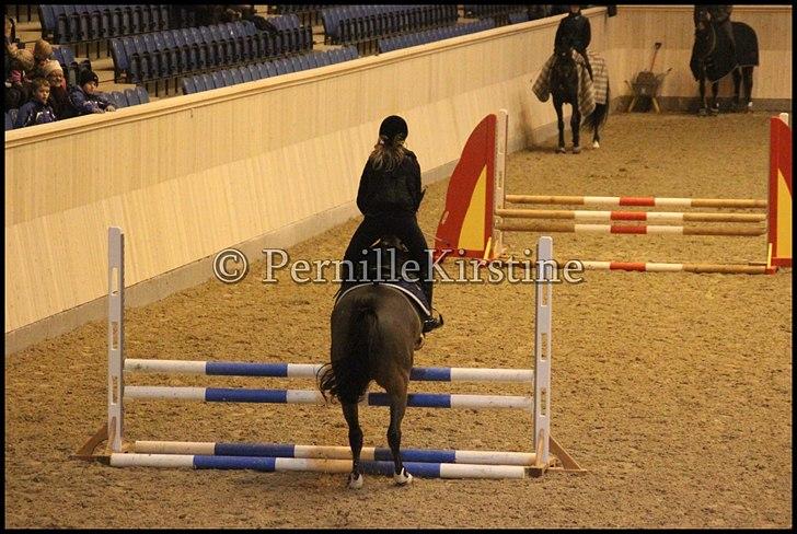 RAMASJANG LIVE PÅ VILHELMSBORG .. billede 43