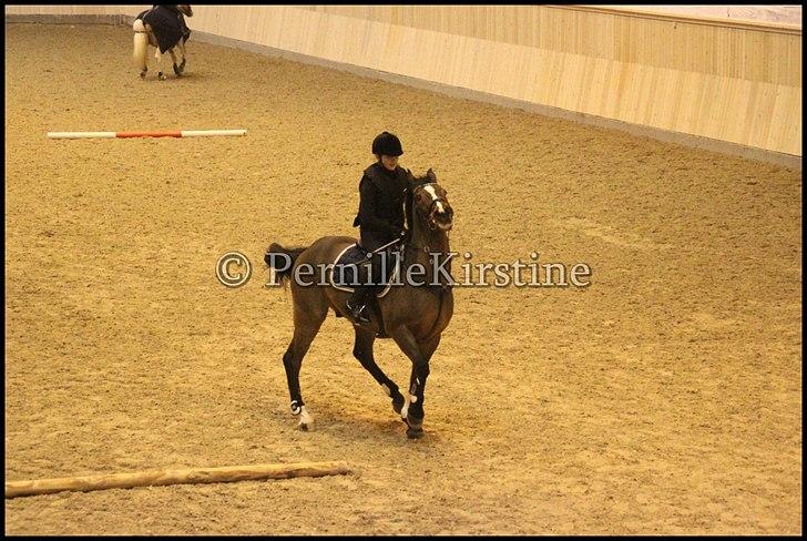 RAMASJANG LIVE PÅ VILHELMSBORG .. billede 44