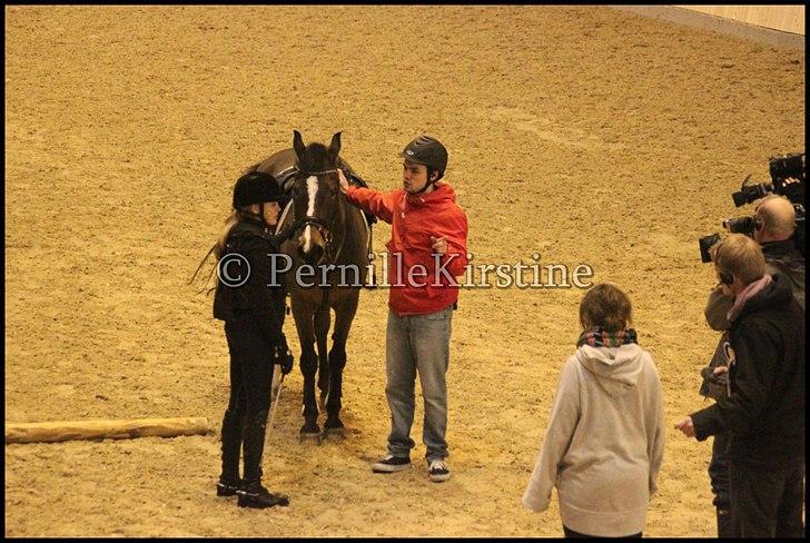 RAMASJANG LIVE PÅ VILHELMSBORG .. billede 45