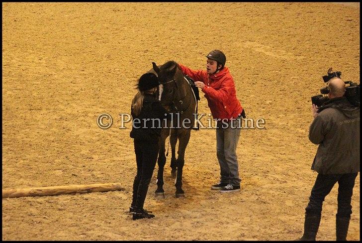 RAMASJANG LIVE PÅ VILHELMSBORG .. billede 46