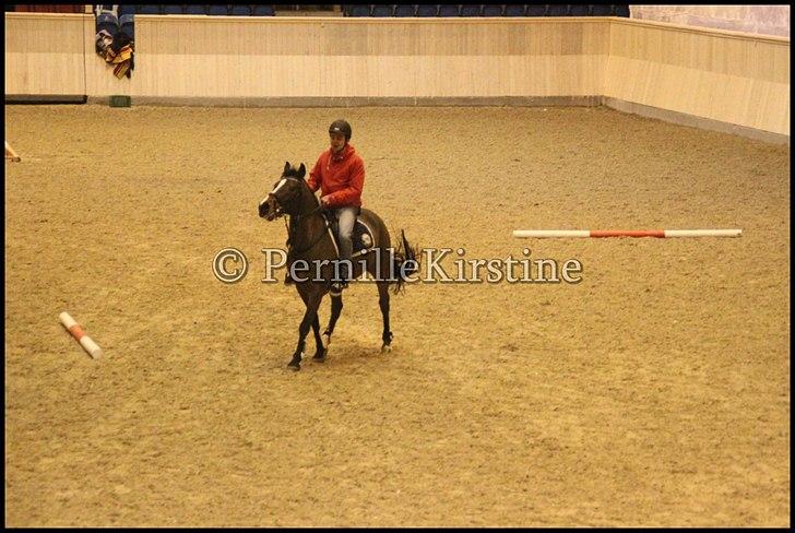 RAMASJANG LIVE PÅ VILHELMSBORG .. billede 50