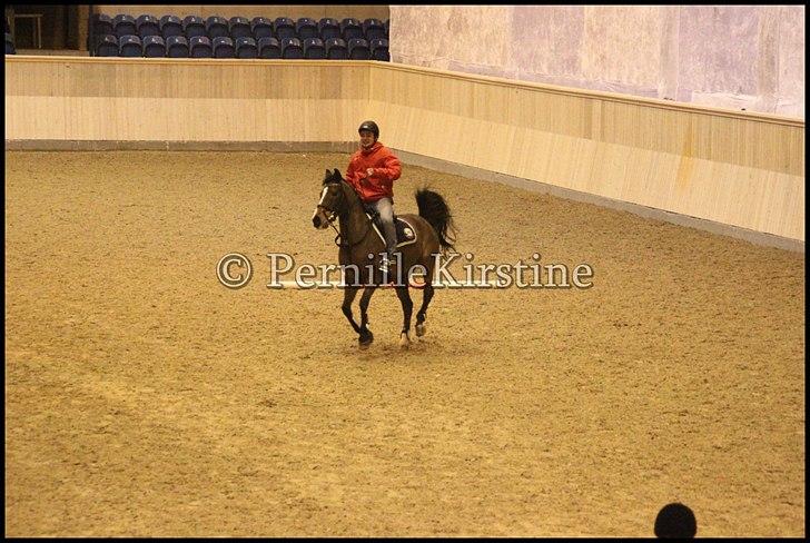 RAMASJANG LIVE PÅ VILHELMSBORG .. billede 51