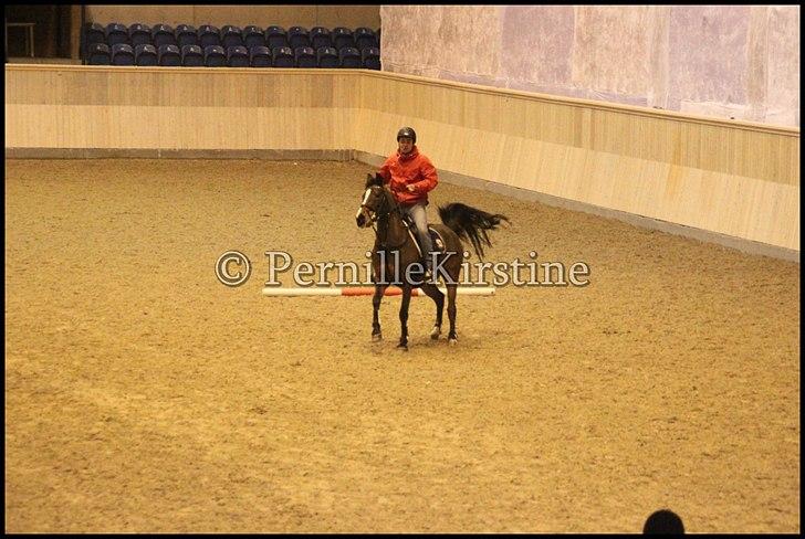 RAMASJANG LIVE PÅ VILHELMSBORG .. billede 52