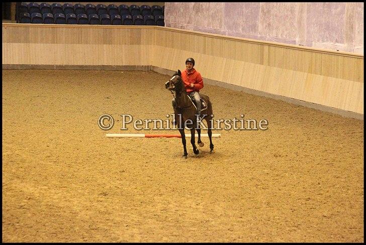 RAMASJANG LIVE PÅ VILHELMSBORG .. billede 53