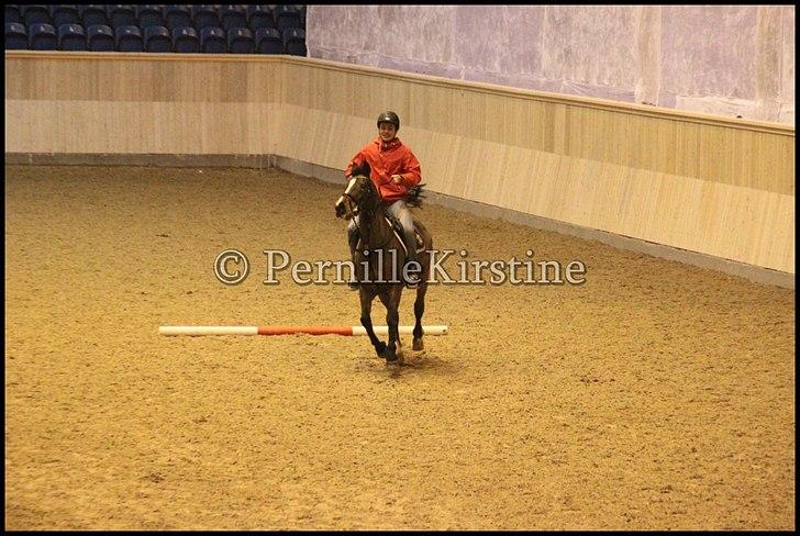 RAMASJANG LIVE PÅ VILHELMSBORG .. billede 54