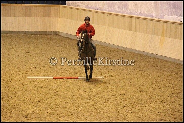 RAMASJANG LIVE PÅ VILHELMSBORG .. billede 55