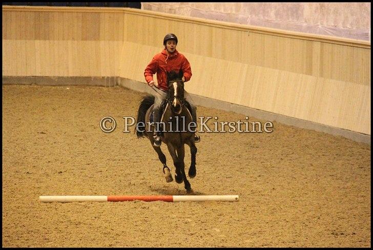 RAMASJANG LIVE PÅ VILHELMSBORG .. billede 56