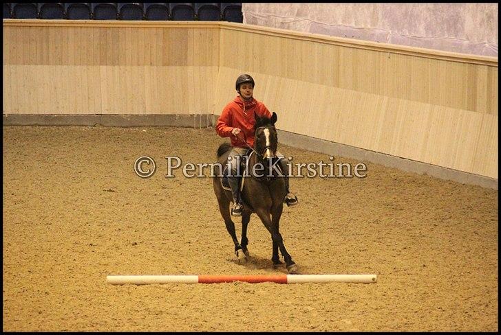 RAMASJANG LIVE PÅ VILHELMSBORG .. billede 57