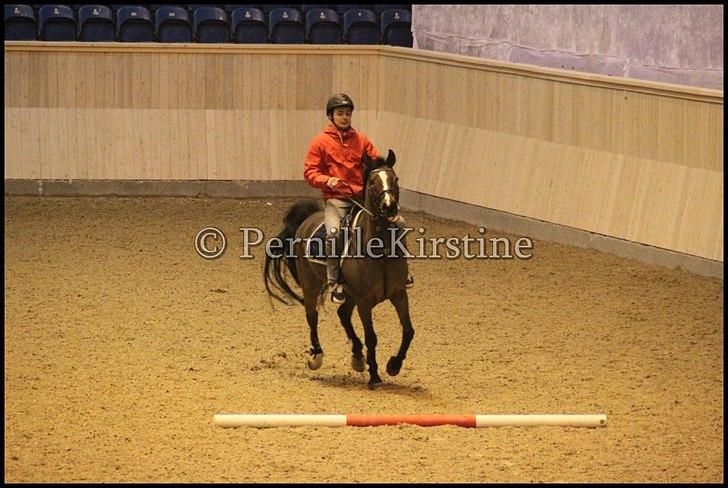 RAMASJANG LIVE PÅ VILHELMSBORG .. billede 58