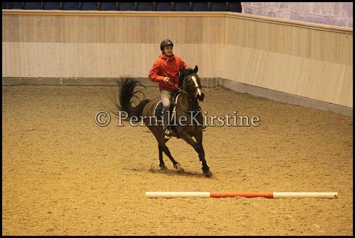 RAMASJANG LIVE PÅ VILHELMSBORG .. billede 59