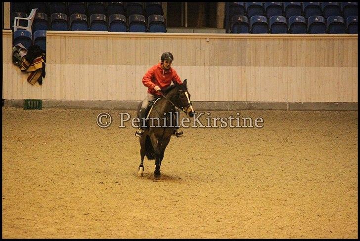 RAMASJANG LIVE PÅ VILHELMSBORG .. billede 60