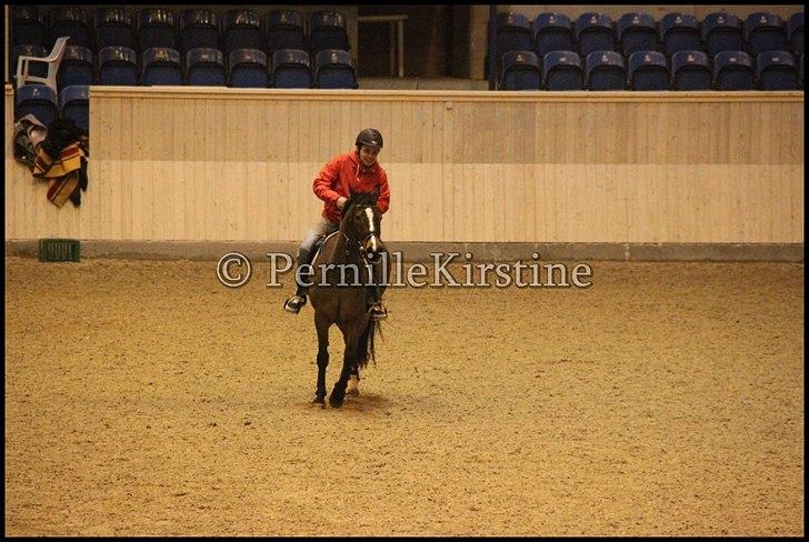 RAMASJANG LIVE PÅ VILHELMSBORG .. billede 61