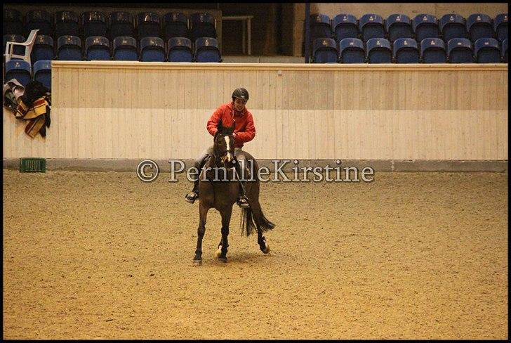 RAMASJANG LIVE PÅ VILHELMSBORG .. billede 62