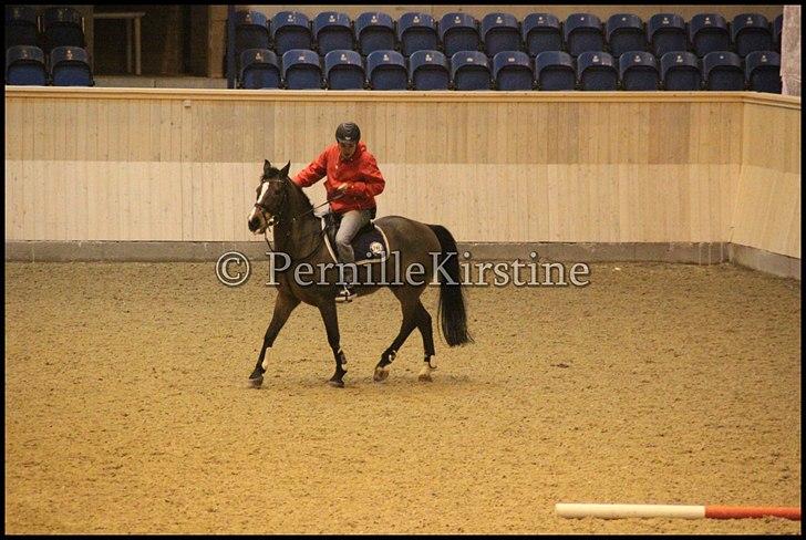 RAMASJANG LIVE PÅ VILHELMSBORG .. billede 63