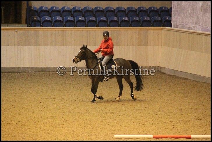 RAMASJANG LIVE PÅ VILHELMSBORG .. billede 64