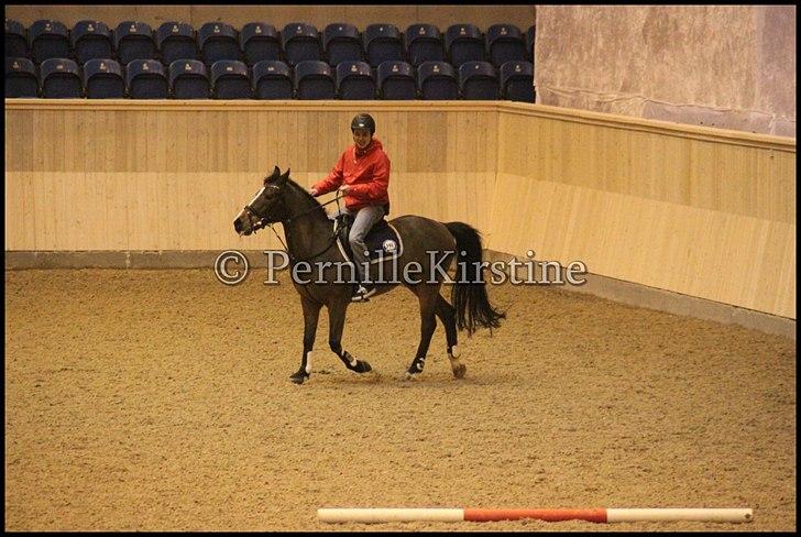 RAMASJANG LIVE PÅ VILHELMSBORG .. billede 65