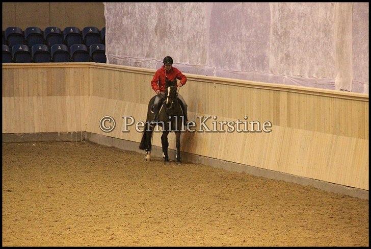 RAMASJANG LIVE PÅ VILHELMSBORG .. billede 66