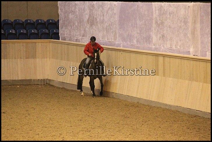 RAMASJANG LIVE PÅ VILHELMSBORG .. billede 67