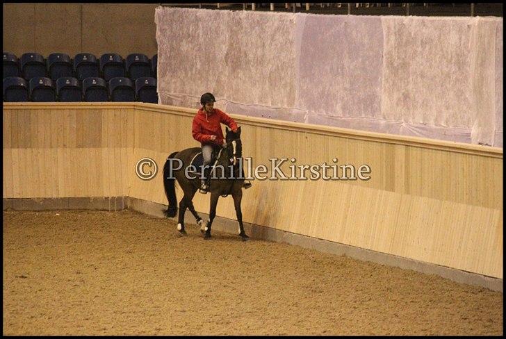 RAMASJANG LIVE PÅ VILHELMSBORG .. billede 68