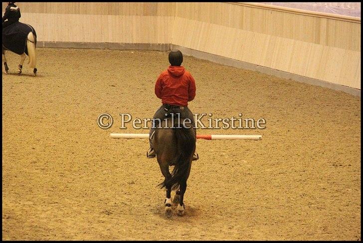 RAMASJANG LIVE PÅ VILHELMSBORG .. billede 69