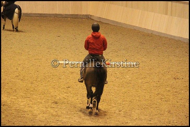 RAMASJANG LIVE PÅ VILHELMSBORG .. billede 70