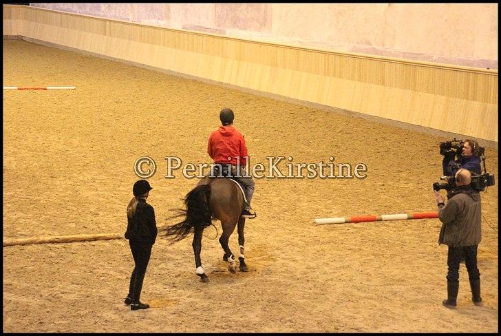 RAMASJANG LIVE PÅ VILHELMSBORG .. billede 71