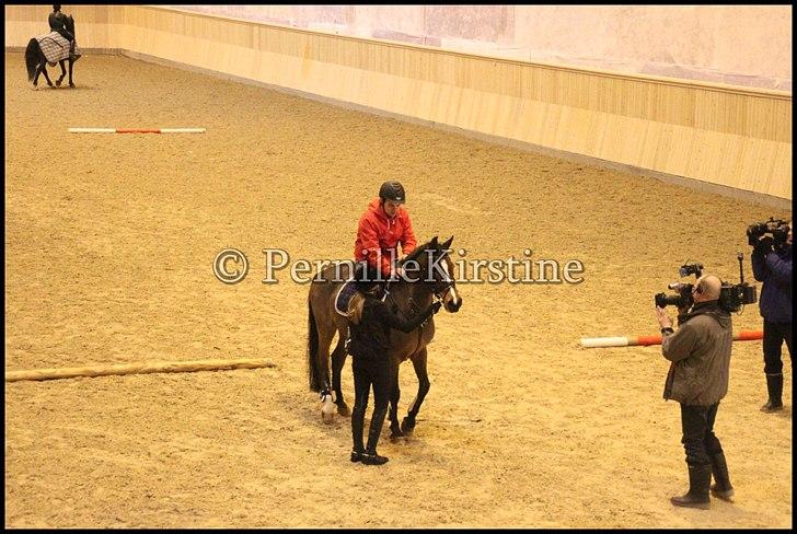 RAMASJANG LIVE PÅ VILHELMSBORG .. billede 72