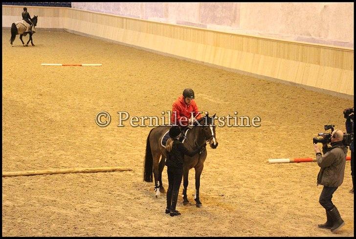 RAMASJANG LIVE PÅ VILHELMSBORG .. billede 73