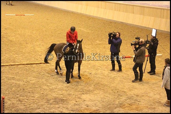 RAMASJANG LIVE PÅ VILHELMSBORG .. billede 74