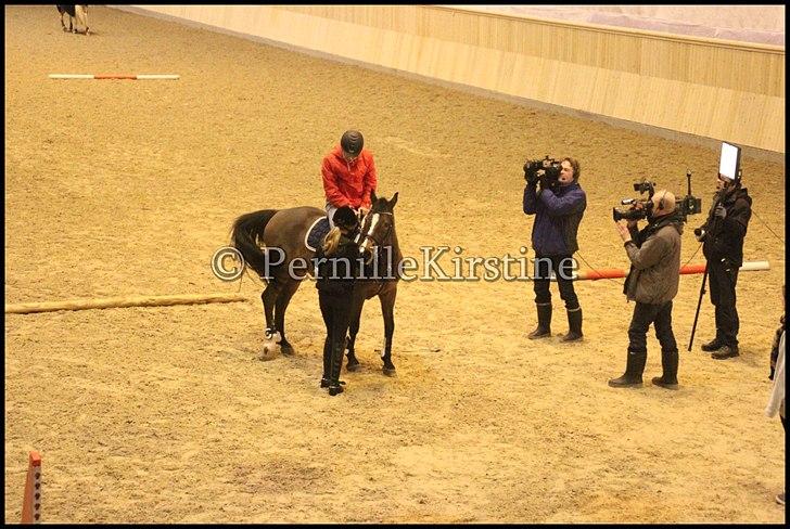 RAMASJANG LIVE PÅ VILHELMSBORG .. billede 75