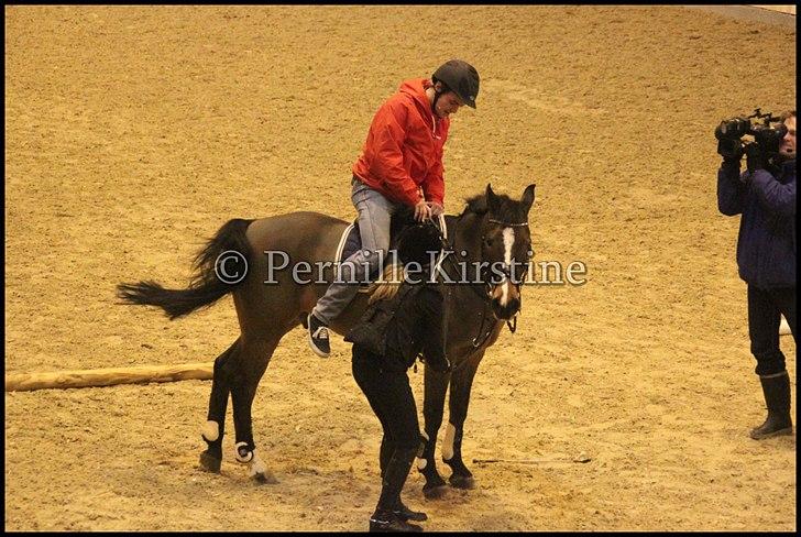 RAMASJANG LIVE PÅ VILHELMSBORG .. billede 76
