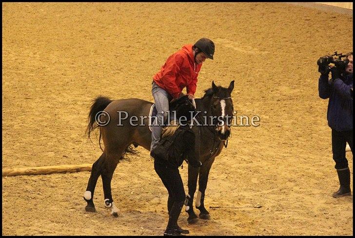 RAMASJANG LIVE PÅ VILHELMSBORG .. billede 77