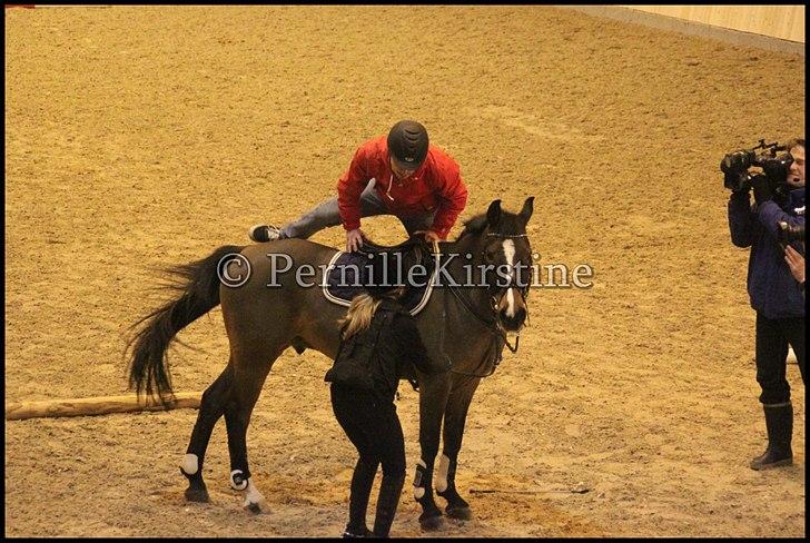 RAMASJANG LIVE PÅ VILHELMSBORG .. billede 78