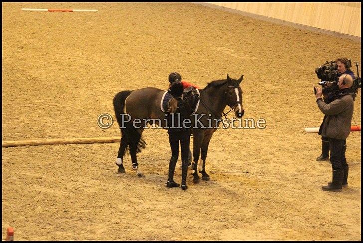 RAMASJANG LIVE PÅ VILHELMSBORG .. billede 82