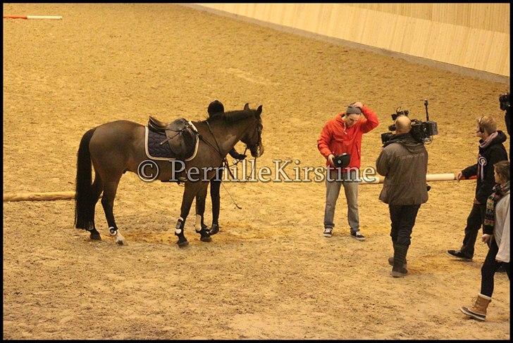 RAMASJANG LIVE PÅ VILHELMSBORG .. billede 83