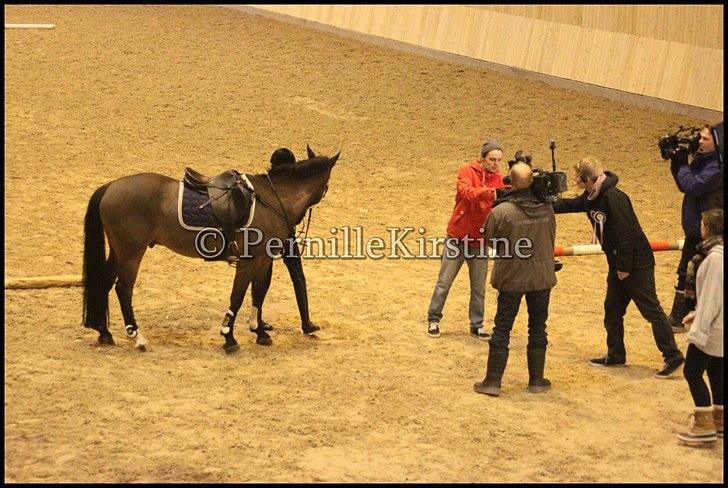 RAMASJANG LIVE PÅ VILHELMSBORG .. billede 84